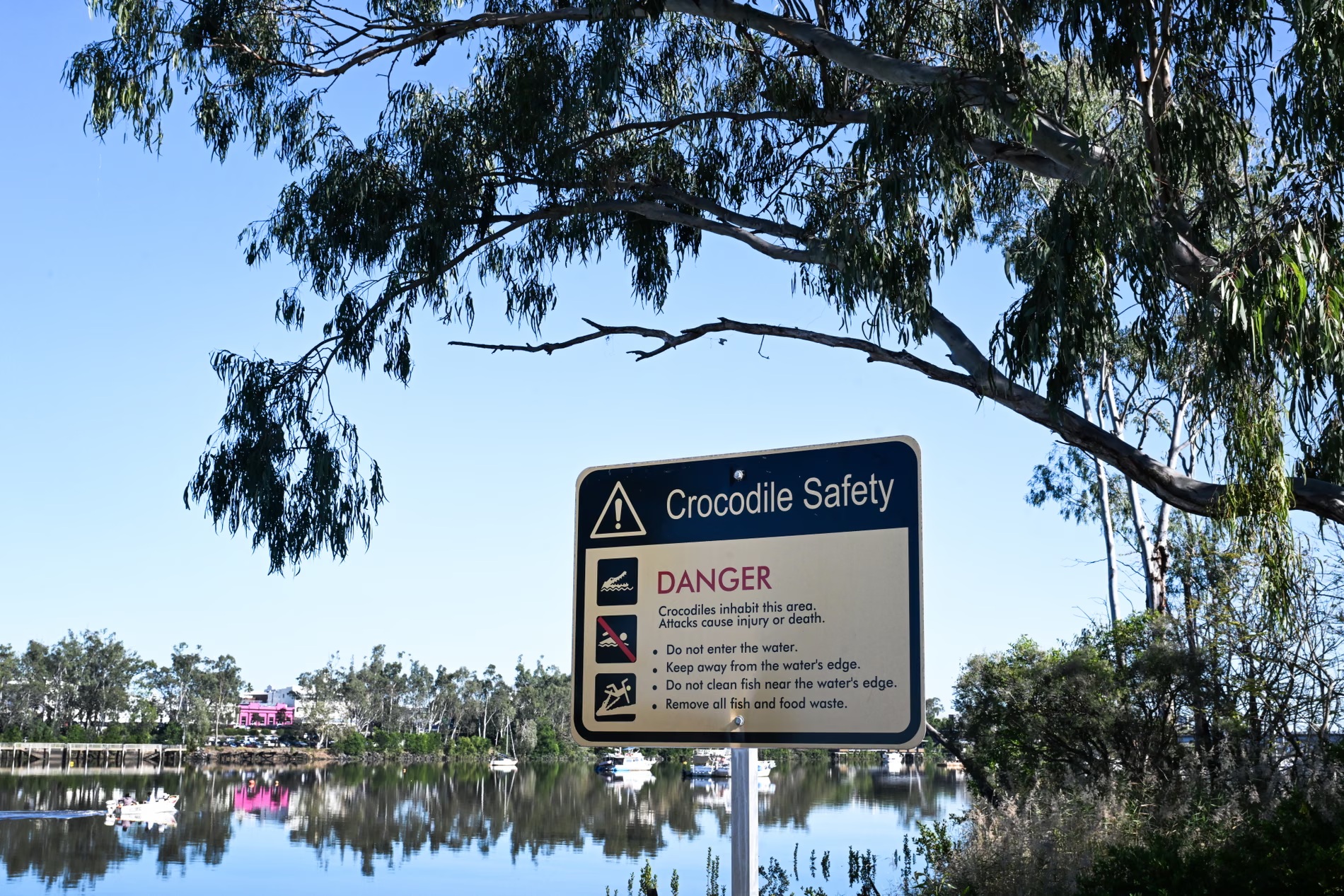 Rio infestado de crocodilos é aprovado para receber o remo e a canoagem velocidade em Brisbane 2032