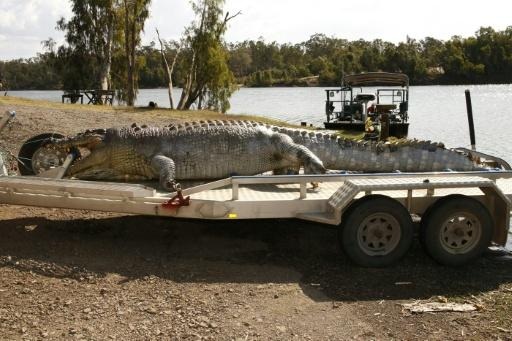 Estrelas do remo australiano criticam escolha de rio infestado de crocodilos para Brisbane 2032